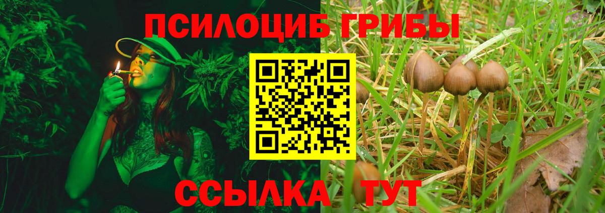 купить наркоту  Псилоцибиновые грибы мухоморы  Вход с VPN  Россия 