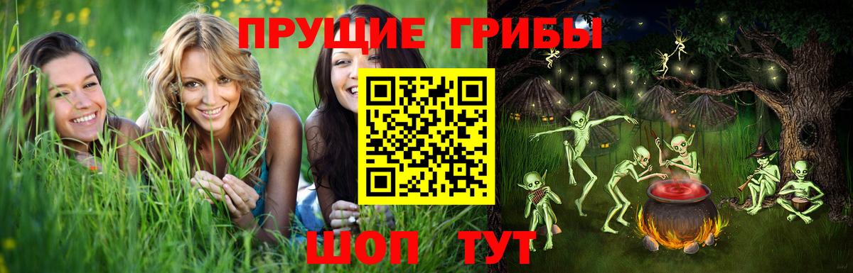Галлюциногенные грибы мухоморы Россия