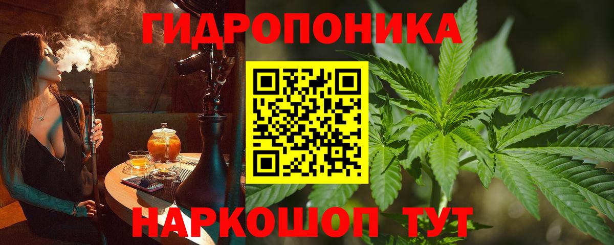 Бошки марихуана план Россия